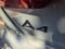 2023 Audi A4 Premium Plus 45 TFSI S line quattro S tronic