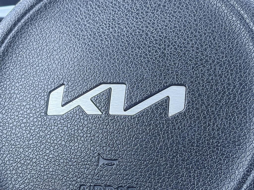 2022 Kia Niro EV EX